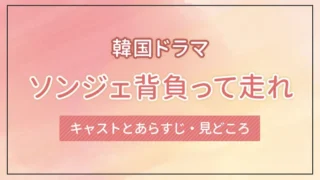 韓国ドラマ「ソンジェ背負って走れ」のキャストとあらすじ・見どころ