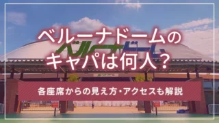 ベルーナドームのキャパは何人？各座席からの見え方・アクセスも解説
